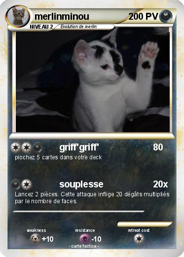 Pokemon merlinminou