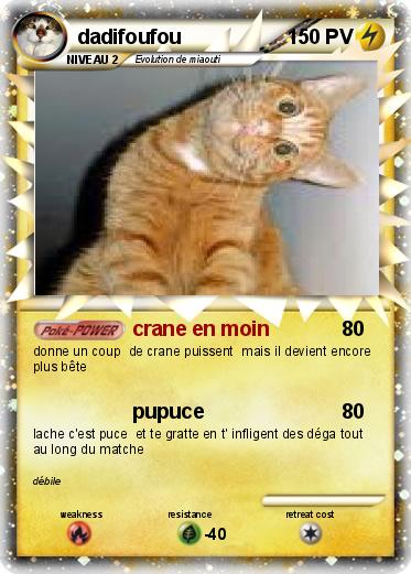 Pokemon dadifoufou