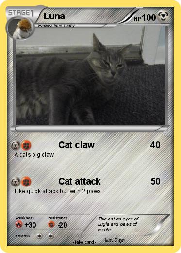 Pokemon Luna
