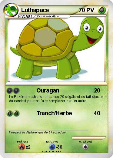 Pokemon Luthapace