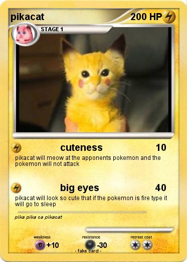 Pokemon pikacat