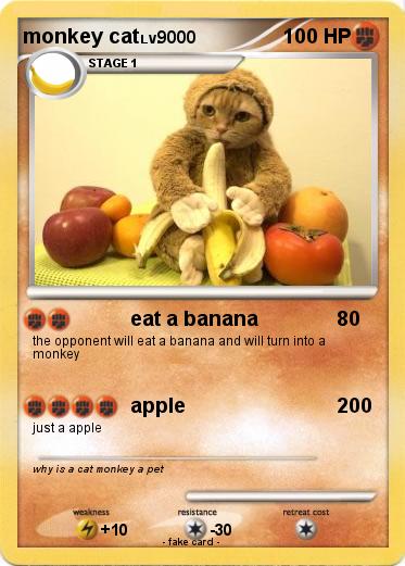 Pokemon monkey cat
