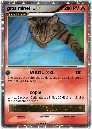 Pokemon gros minet
