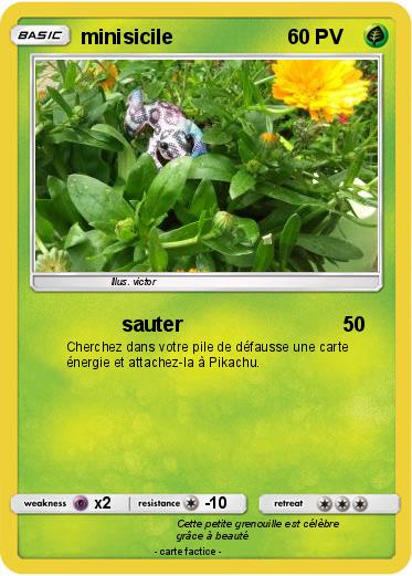 Pokemon minisicile