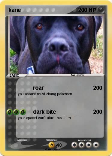 Pokemon kane
