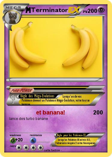Pokemon Terminator