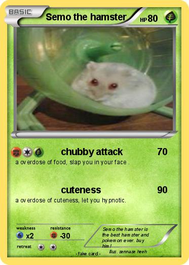 Pokemon Semo the hamster
