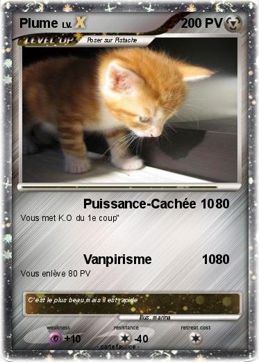 Pokemon Plume