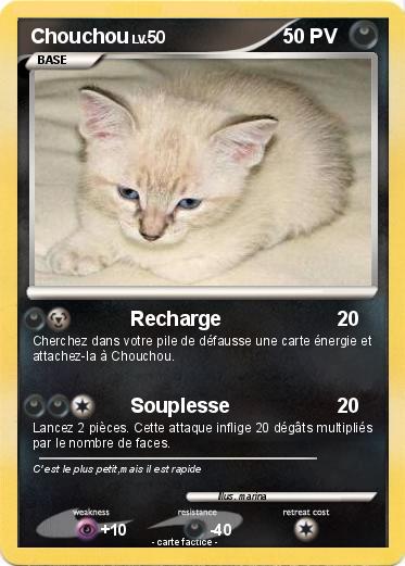 Pokemon Chouchou