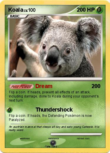 Pokemon Koala
