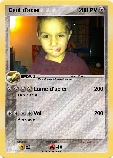 Pokemon Dent d'acier