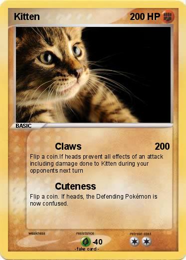 Pokemon Kitten