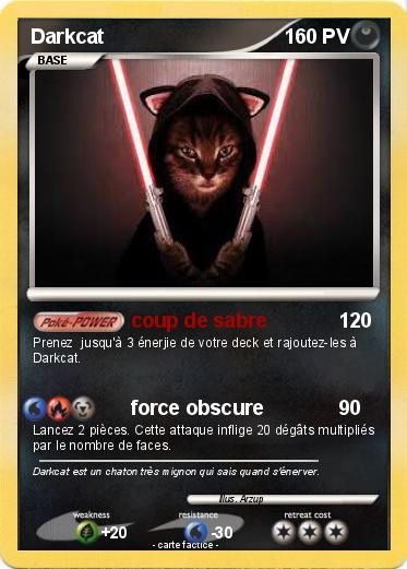 Pokemon Darkcat