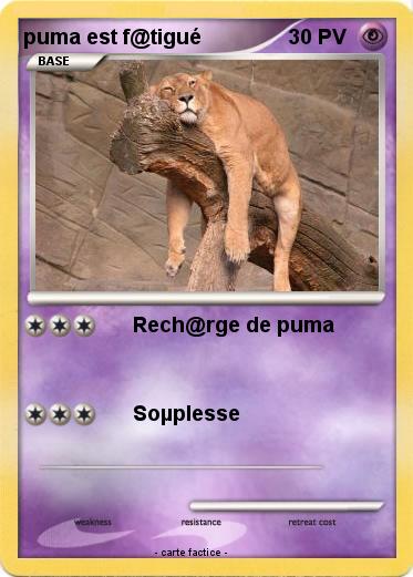 Pokemon puma est f@tigué