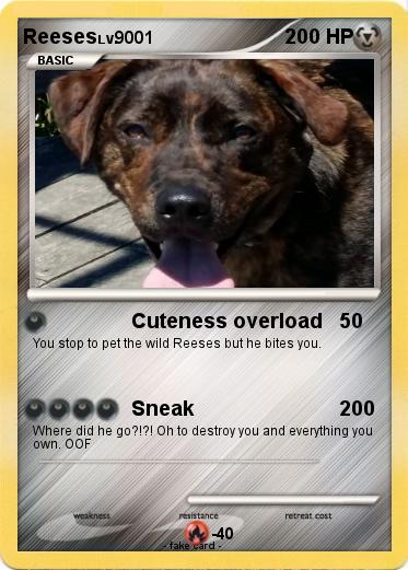 Pokemon Reeses