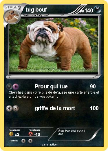 Pokemon big bouf