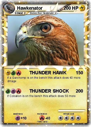 Pokemon Hawkenator
