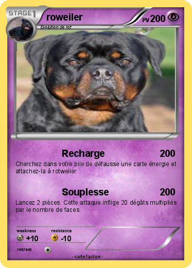 Pokemon roweiler