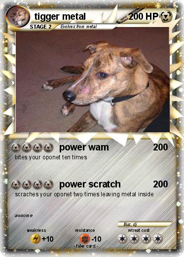 Pokemon tigger metal