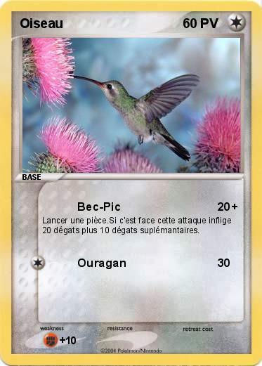 Pokemon Oiseau