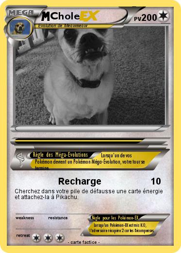 Pokemon Chole