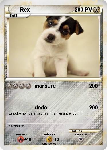 Pokemon Rex