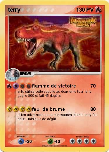 Pokemon terry 