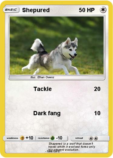 Pokemon Shepured