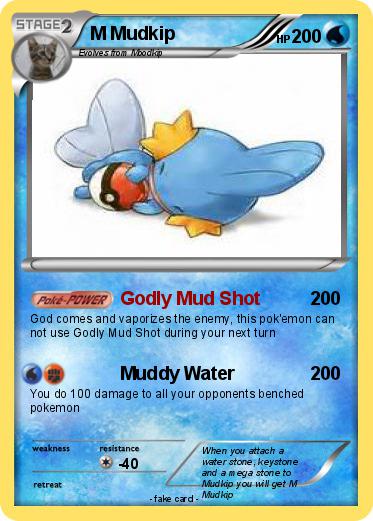 Pokemon M Mudkip