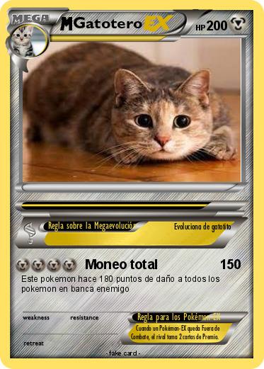 Pokemon Gatotero