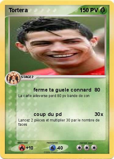 Pokemon Tortera