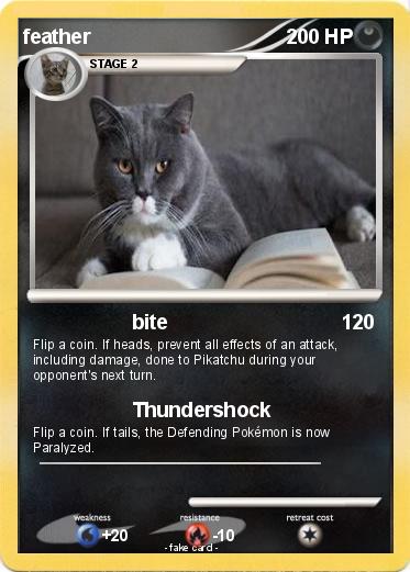 Pokemon feather