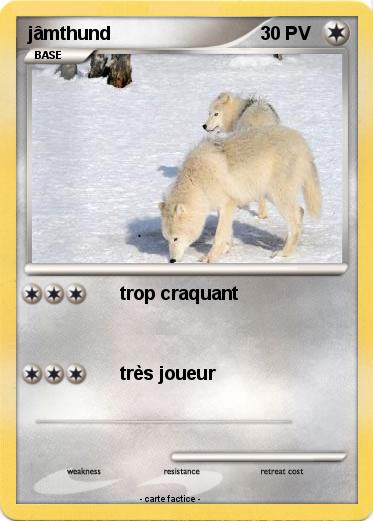 Pokemon jâmthund