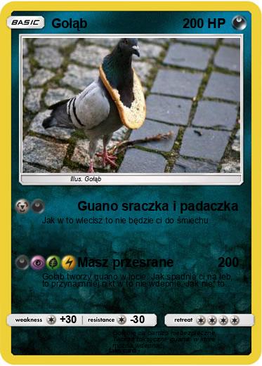 Pokemon Gołąb