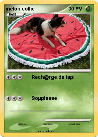 Pokemon mélon collie