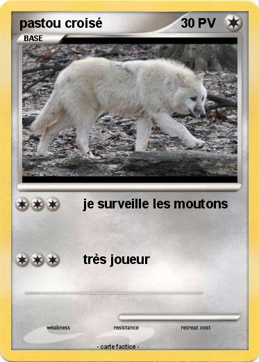 Pokemon pastou croisé