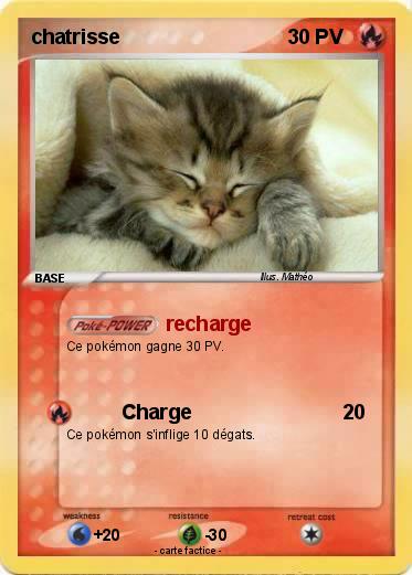 Pokemon chatrisse