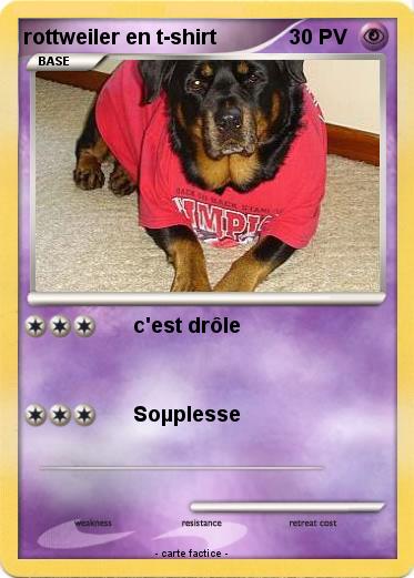 Pokemon rottweiler en t-shirt