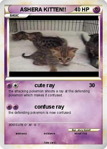 Pokemon ASHERA KITTEN!!