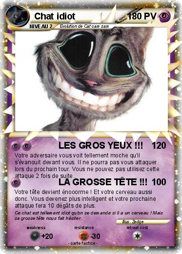 Pokemon Chat idiot