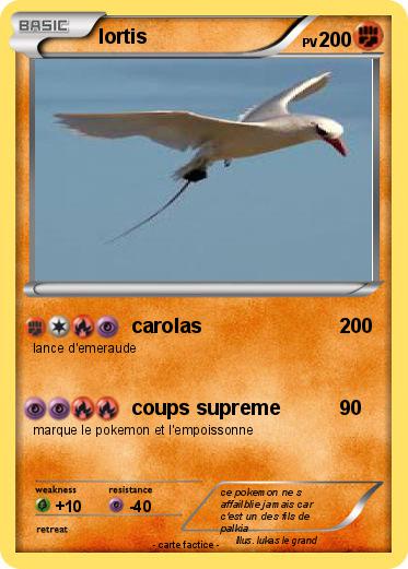 Pokemon lortis