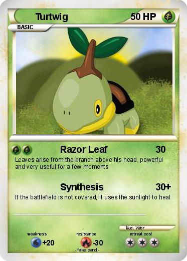 Pokemon Turtwig
