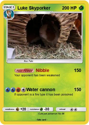 Pokemon Luke Skyporker