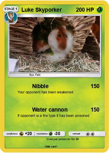 Pokemon Luke Skyporker