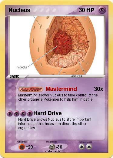 Pokemon Nucleus