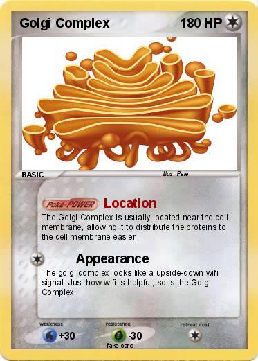 Pokemon Golgi Complex