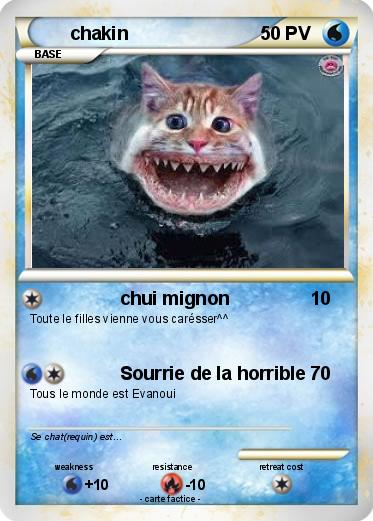 Pokemon chakin