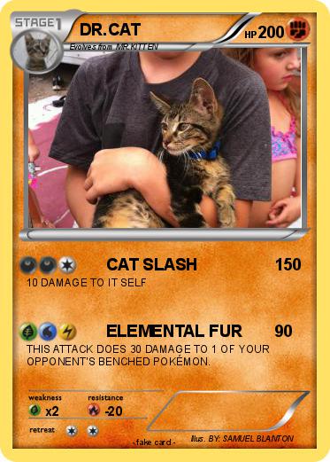 Pokemon DR.CAT