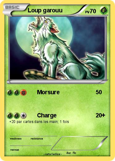Pokemon Loup garouu