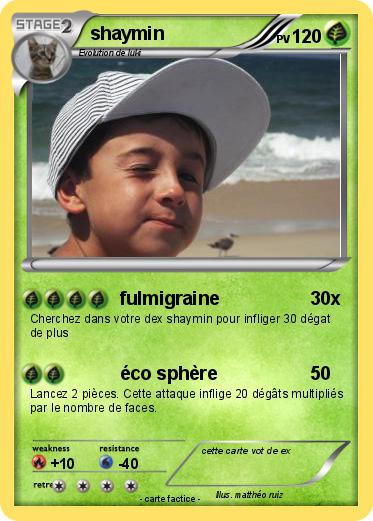 Pokemon shaymin